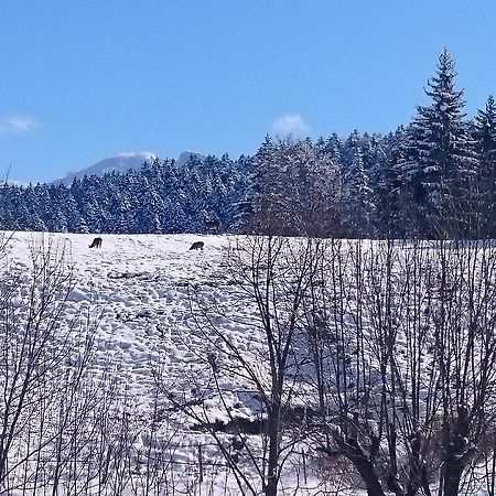 La Ferme Du Bois Barbu Hotell Villard-de-Lans Eksteriør bilde