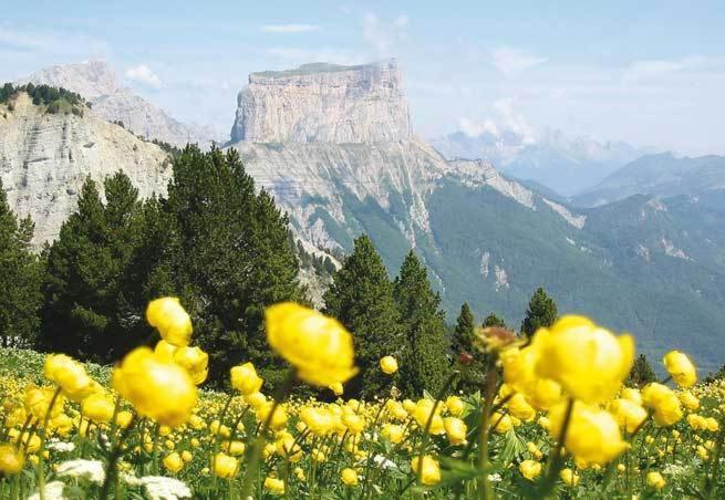 La Ferme Du Bois Barbu Hotell Villard-de-Lans Eksteriør bilde