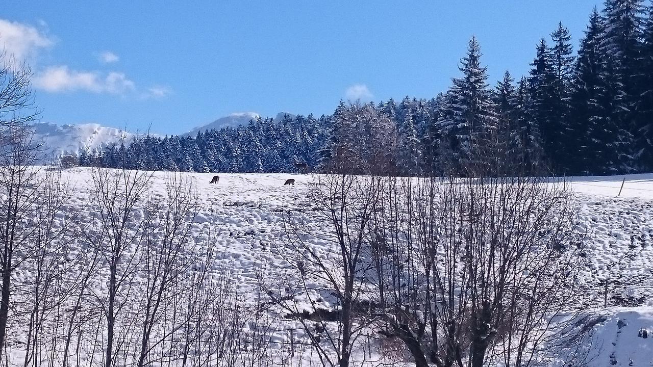 La Ferme Du Bois Barbu Hotell Villard-de-Lans Eksteriør bilde